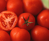 Cherry Tomates Cherry Tomates